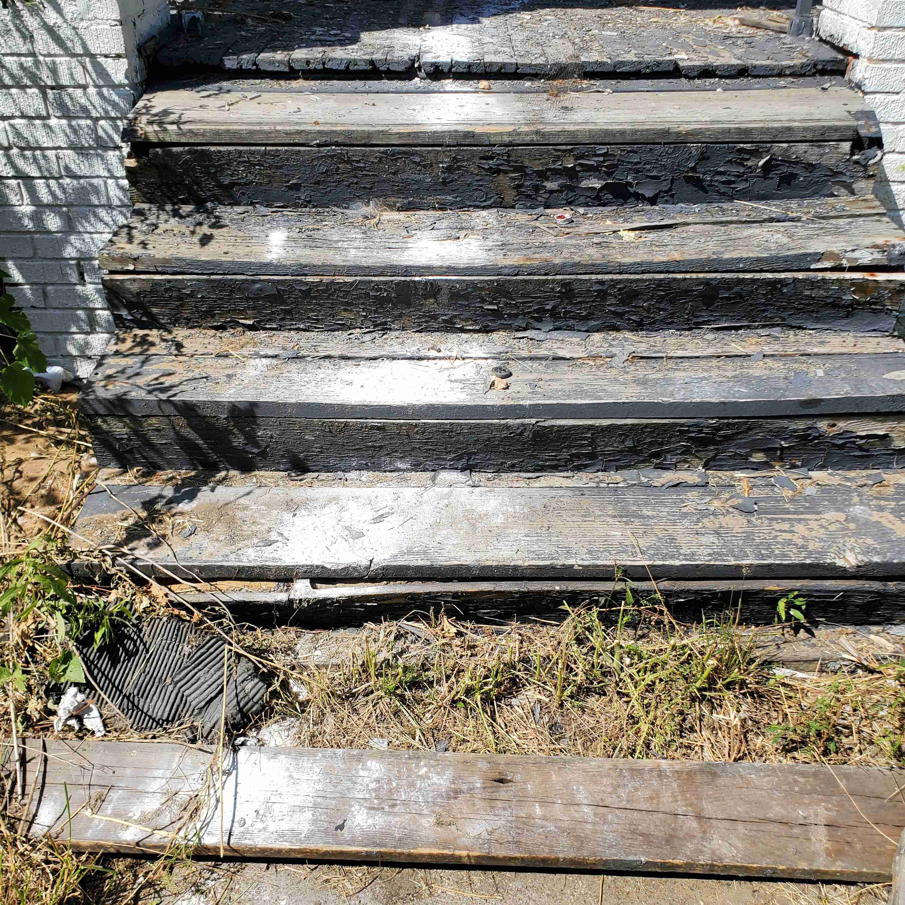 20200812_154043 (2).jpg